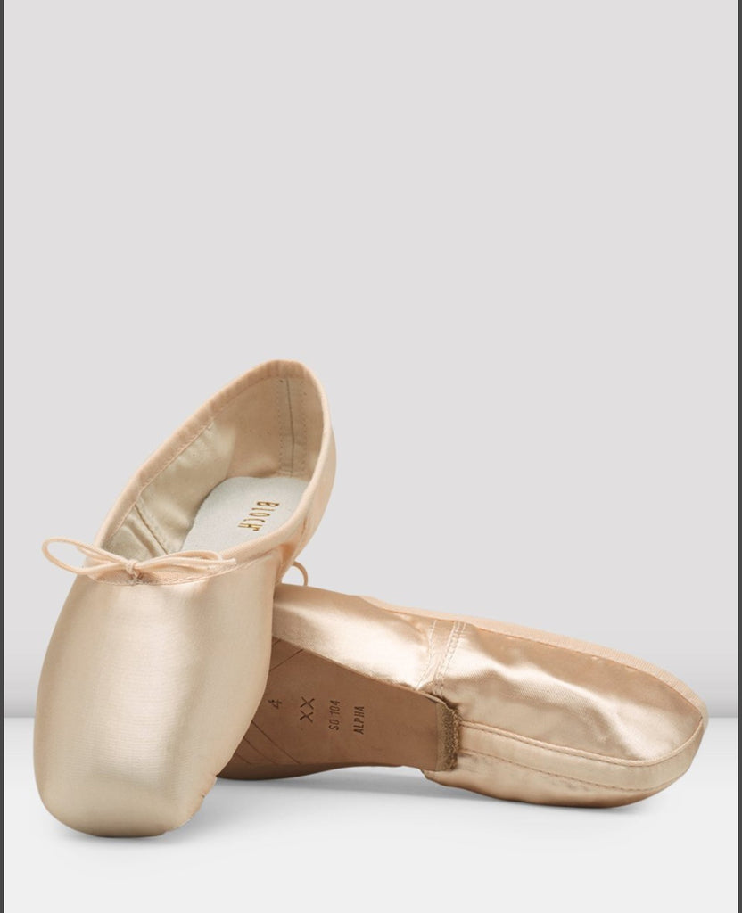 Signature Rehearsal Pointe Shoe – Dancer's Image